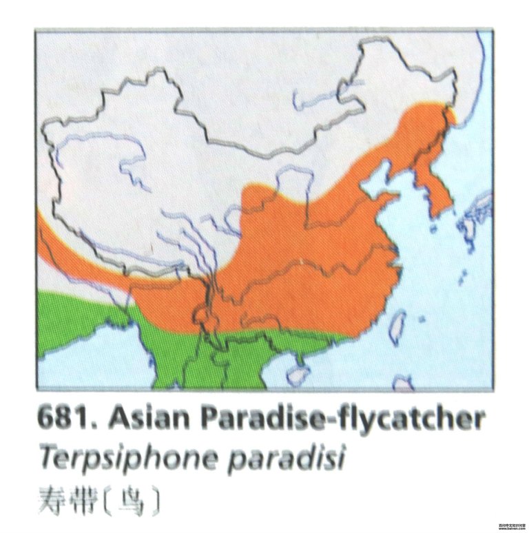 �ٴ�[��]�ĵ����ֲ�ͼ