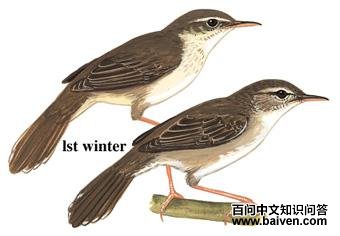 ʷ�ϻ�ݺ��ͼ��