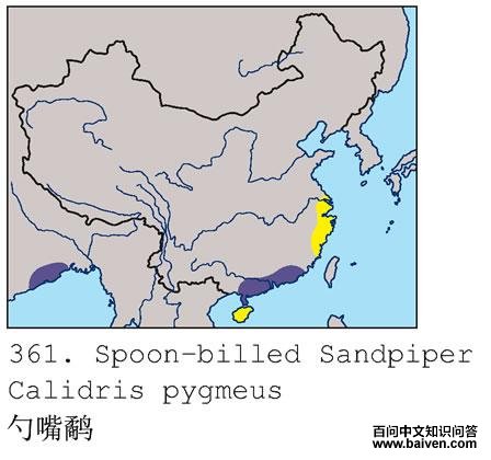 �����ֵĵ����ֲ�ͼ