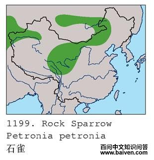 ʯȸ�ĵ����ֲ�ͼ