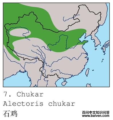 ʯ���ĵ����ֲ�ͼ