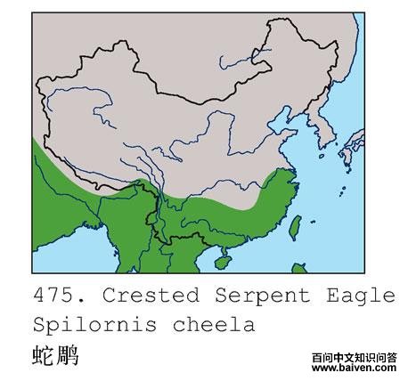 �ߵ�ĵ����ֲ�ͼ