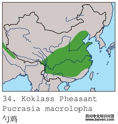 �׼��ĵ����ֲ�ͼ