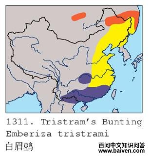 ��ü�c�ĵ����ֲ�ͼ