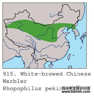 ɽ�̵ĵ����ֲ�ͼ