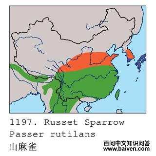 ɽ��ȸ�ĵ����ֲ�ͼ