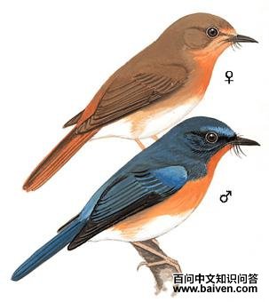 ɽ�����l��ͼ��