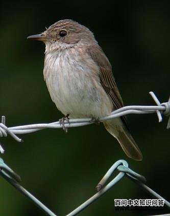 ���l��ͼƬ