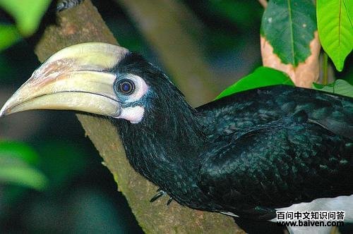 ��Ϭ������ͼƬ