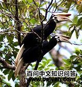 �����Ϭ��