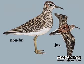 ���ر��֣���̬����ͼ