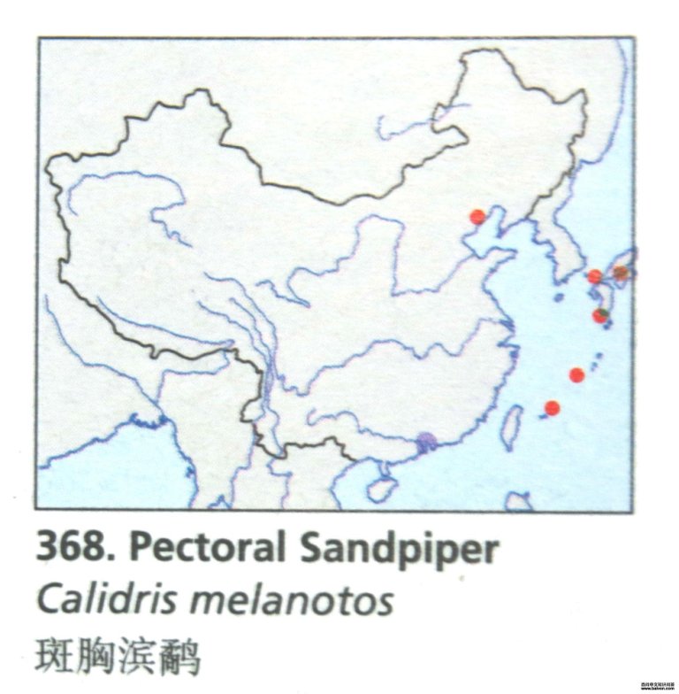 ���ر��֣������ֲ�ͼ