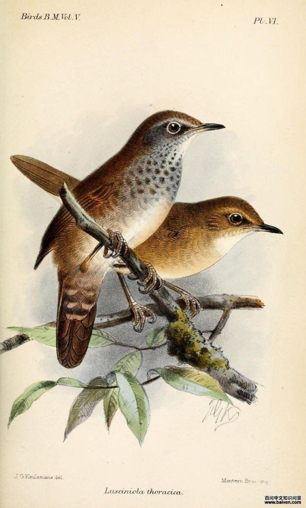 ���ض̳�ݺ��ͼƬ