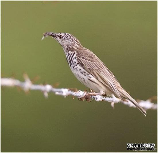 ���ؽ�����