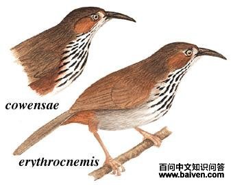 ���ع����̣���̬����ͼ