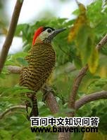 �����˳�����ͼƬ