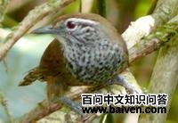 ����έ���ӵ�ͼƬ