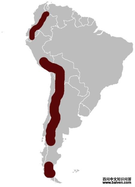 ����˹ӲβѼ