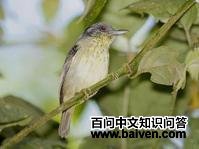 �������V