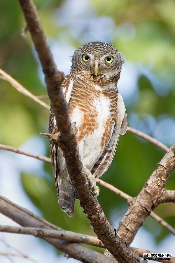 ����m��ͼƬ