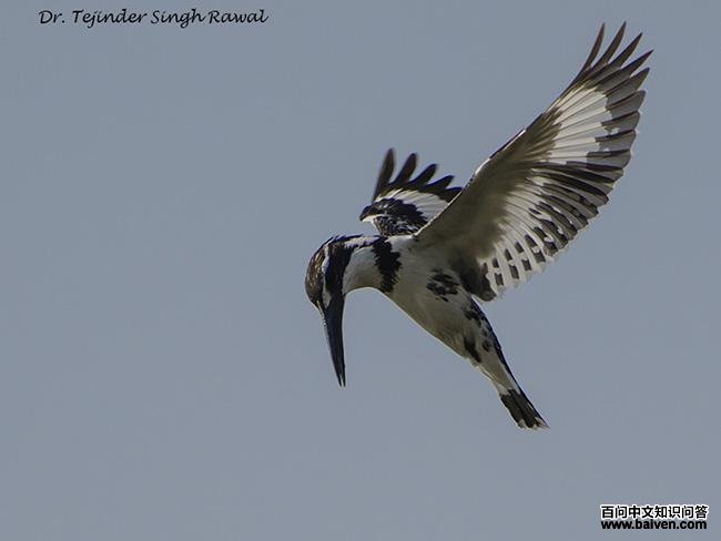 ���㹷����