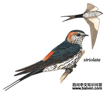 �����ࣺ��̬����ͼ