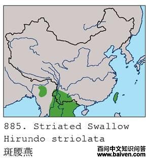 �����ࣺ�����ֲ�ͼ