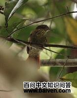 ����βȸ��ͼƬ