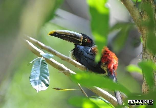 �������������ͼƬ