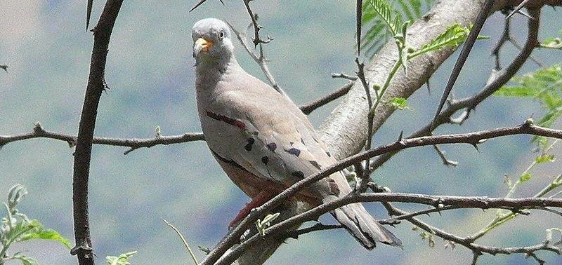 �������ͼƬ