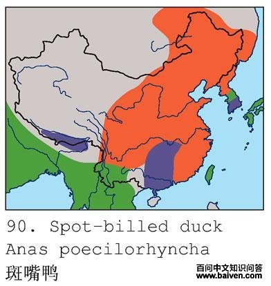 ����Ѽ�������ֲ�ͼ