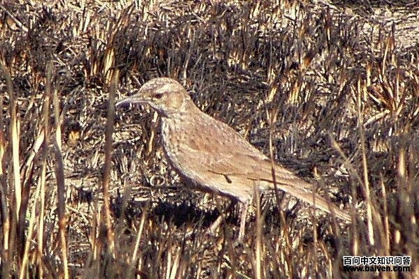 �뾱�������