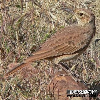 �뾱�������