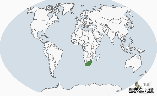 �뾱�������