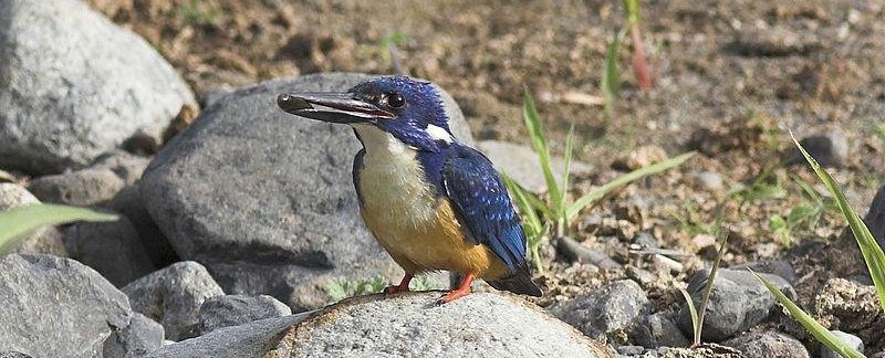 ��������ͼƬ