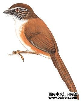 ������ȸ