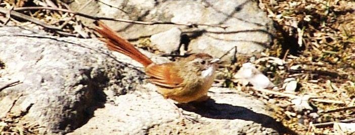 ������ȸ