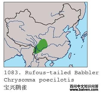 ������ȸ