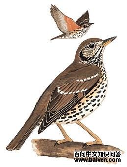 ���˸�𴣺��̬����ͼ