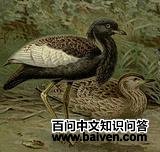 �ϼ������