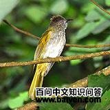 ����˹�̽�����