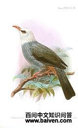 ��ͷ�̽�����