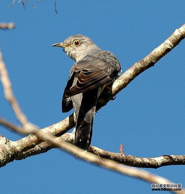 �����жž��ͼƬ