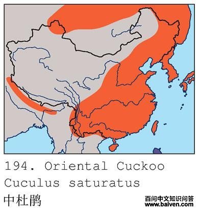 �����жž�