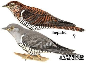 �жž飺��̬����ͼ