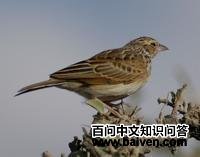 ���Ǹ����