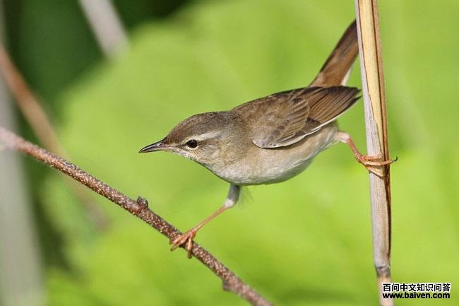 ����ݺ��ͼƬ