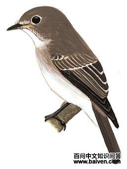 �����l����̬����ͼ