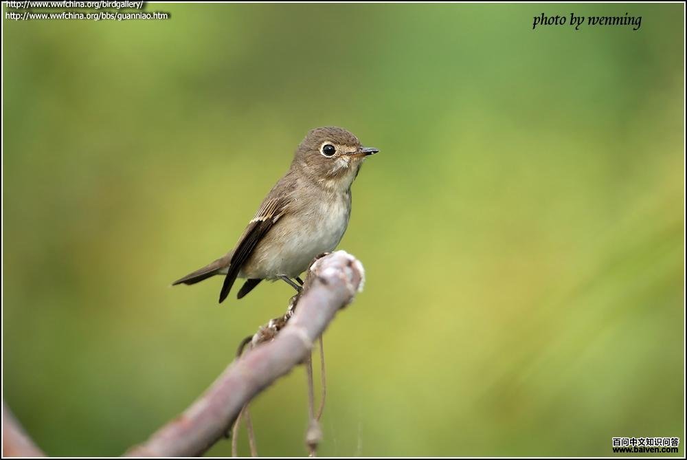 �����l�����ں��ݣ�by ������