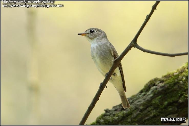 �����l�����ں��ݣ�by ������